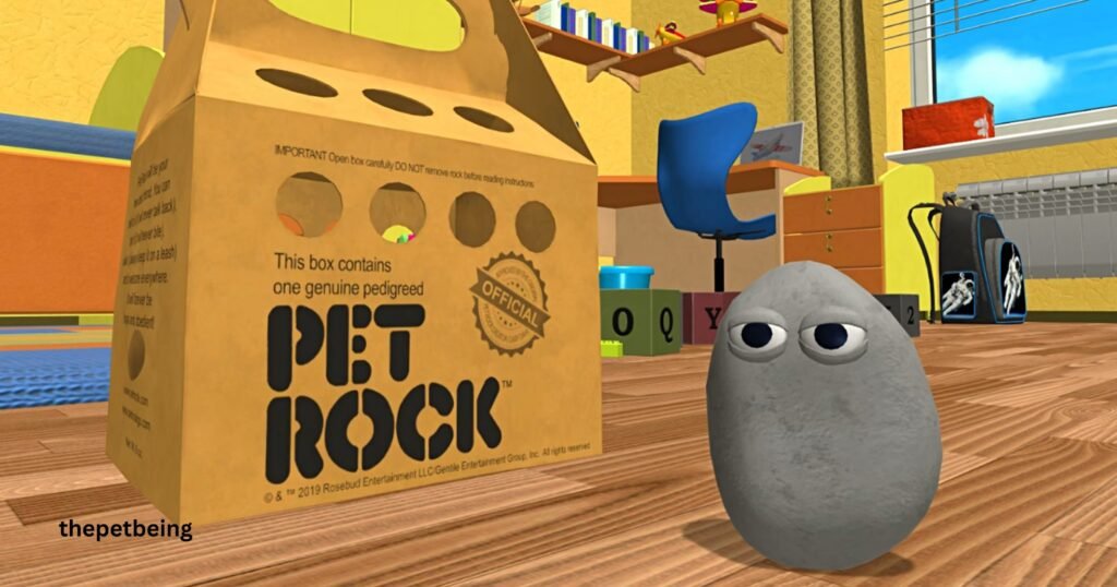 How To Take Care Of A Pet Rock
