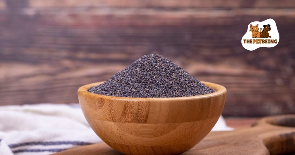 Are Poppy Seeds Bad For Dogs