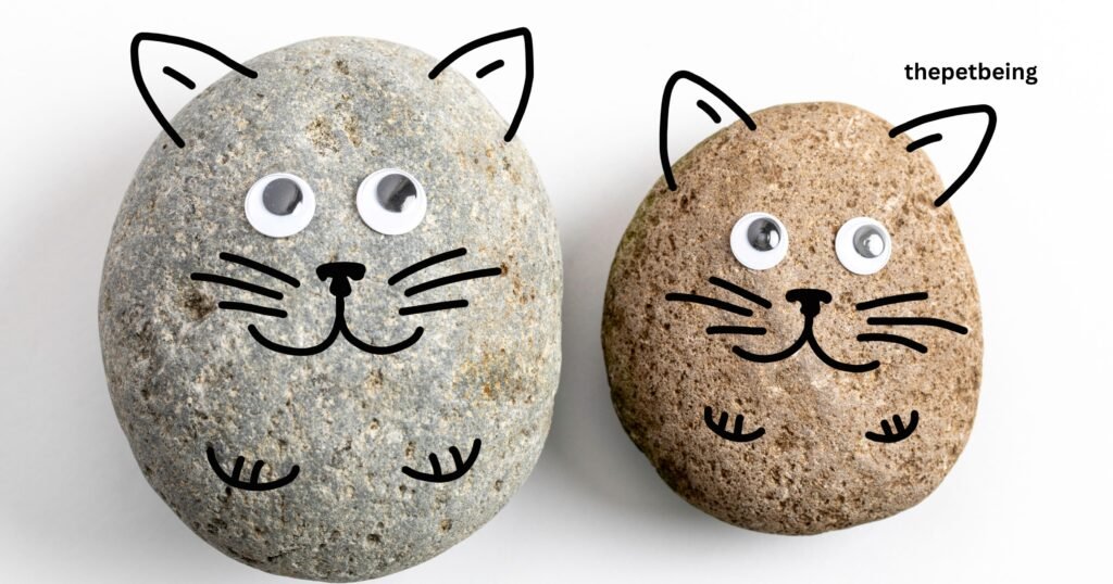 How To Take Care Of A Pet Rock

