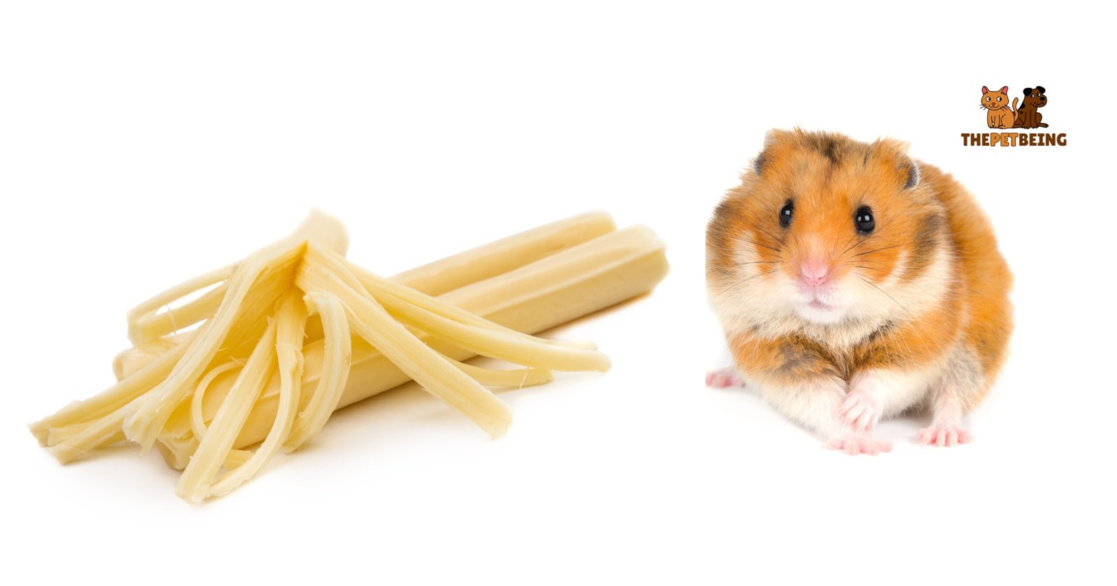 Can Hamsters Eat String Cheese