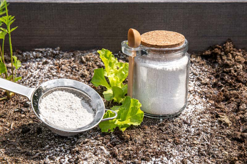 Diatomaceous Earth