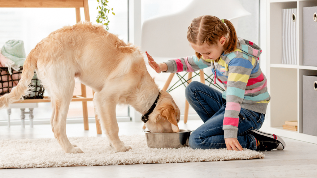 cups-in-a-pound-of-dog-food