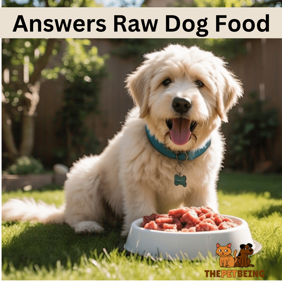 Answers Raw Dog Food