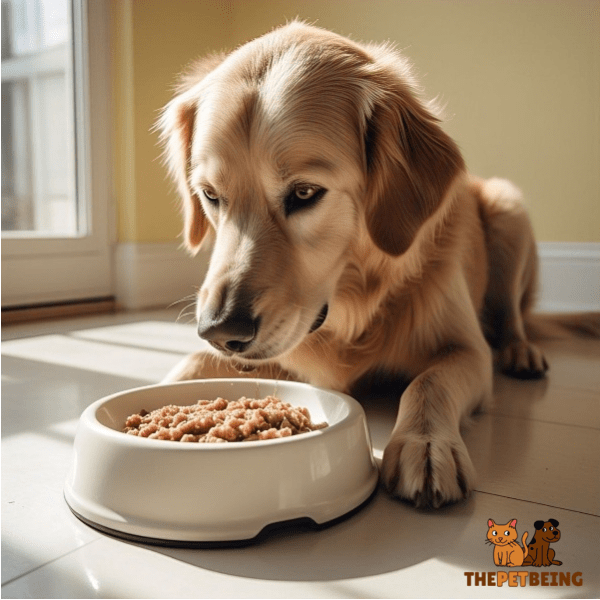 Benefits of Low-Fat Raw Dog Food