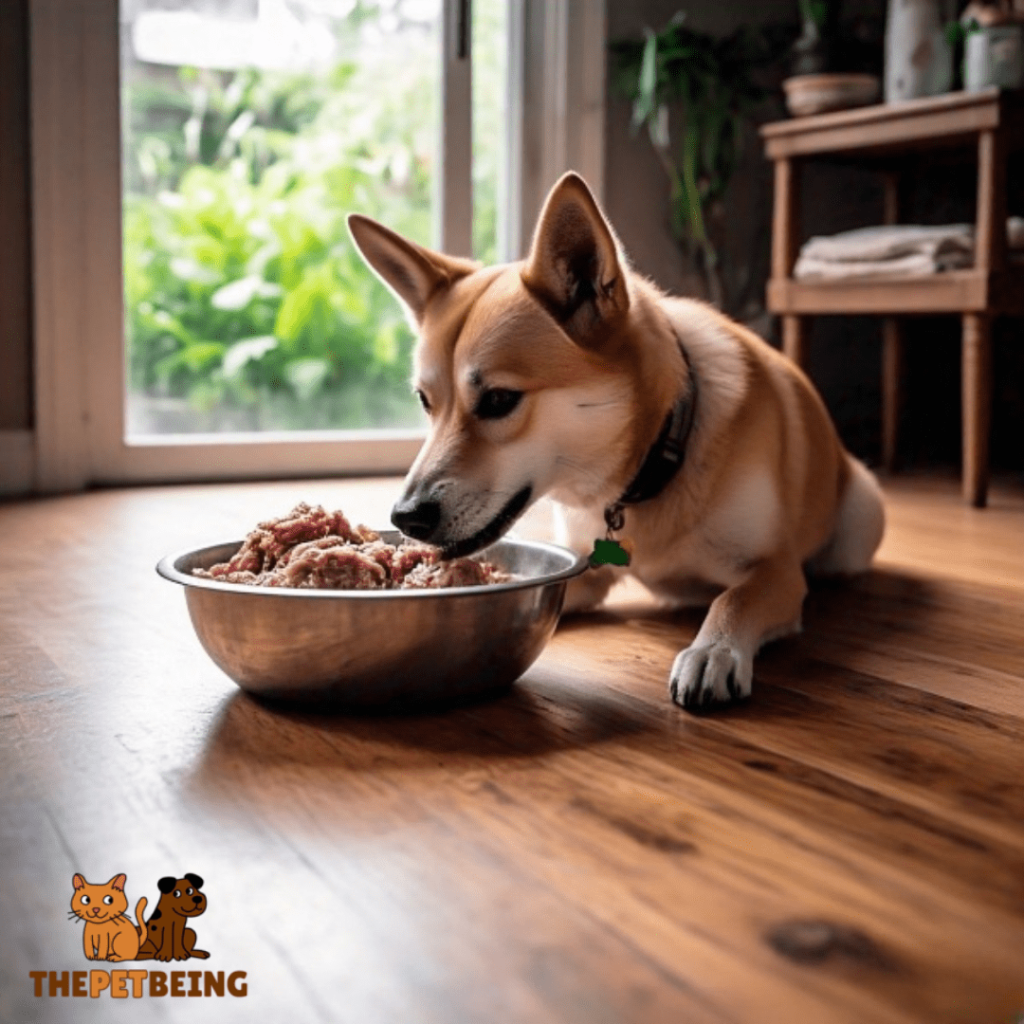 Benefits of Raw Rabbit Dog Food