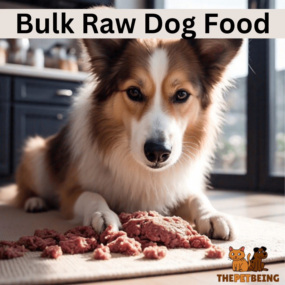 Bulk Raw Dog Food