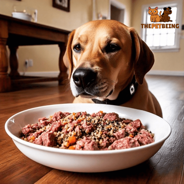 Choose Raw Dog Food with Grains