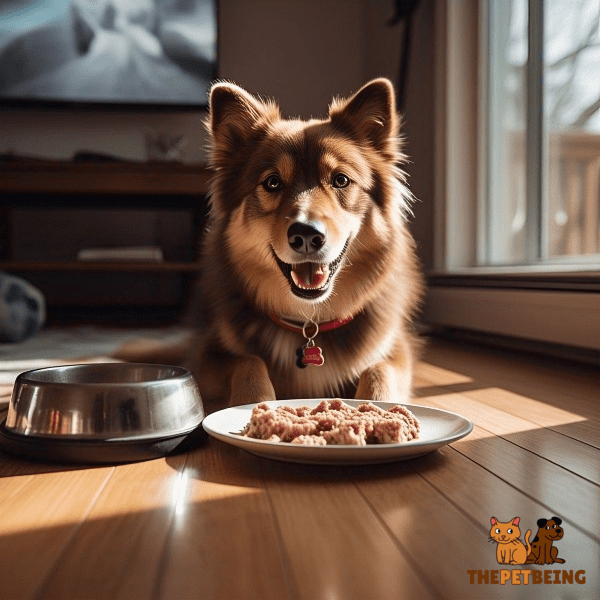 Dogs Need Low-Fat Raw Dog Food