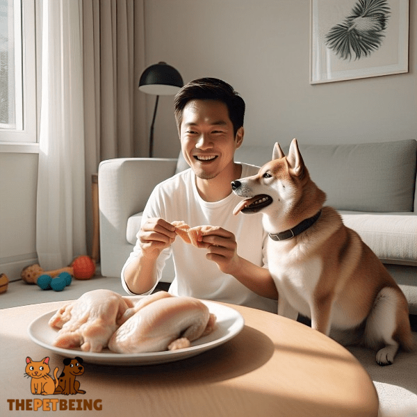 Feed Raw Chicken to Your Dog