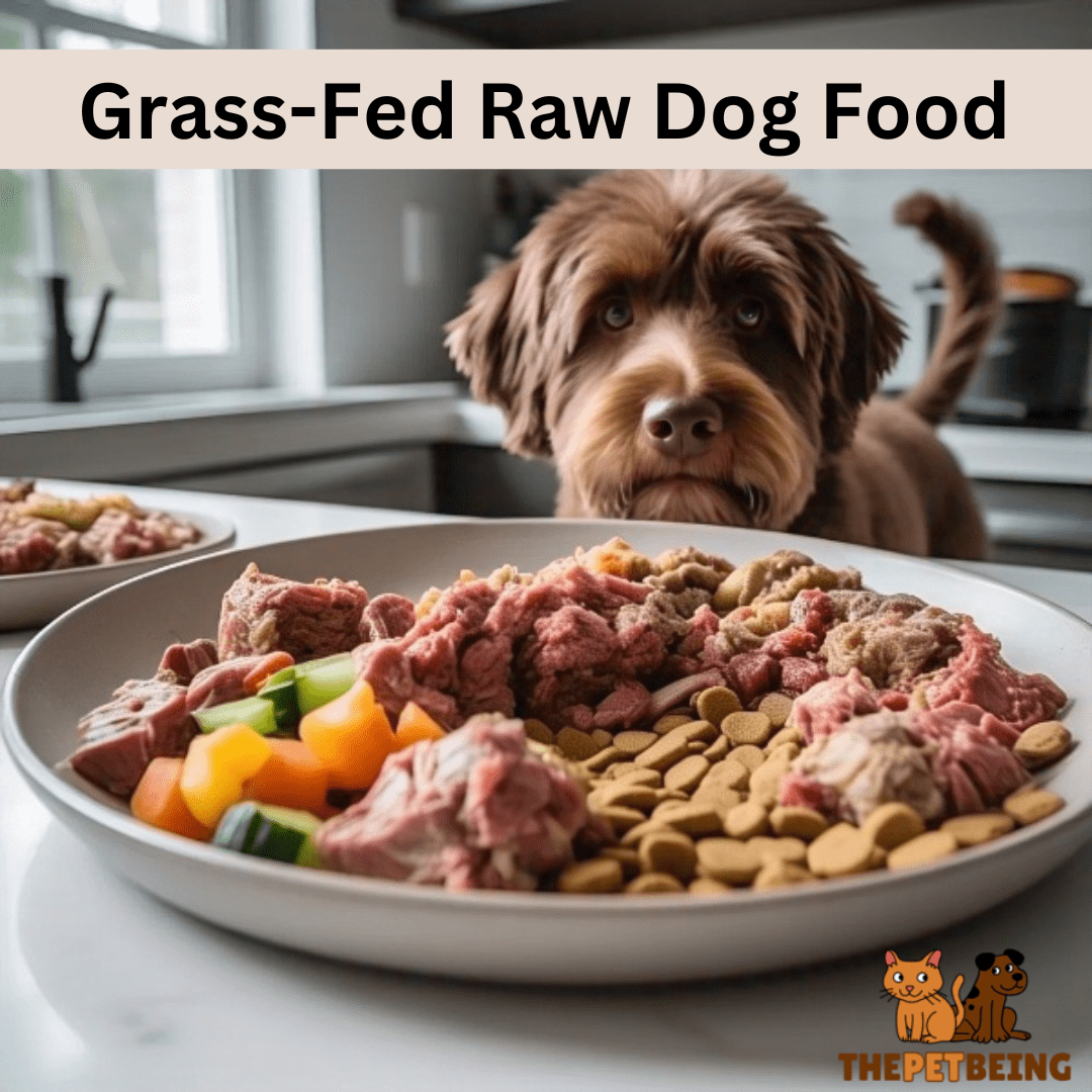 Grass-Fed Raw Dog Food