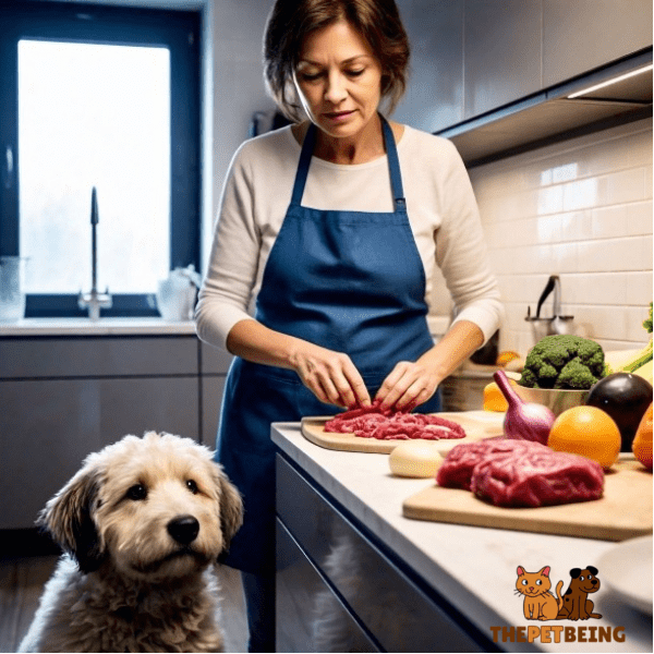 Keep Your Dog Safe on a Raw Food Diet