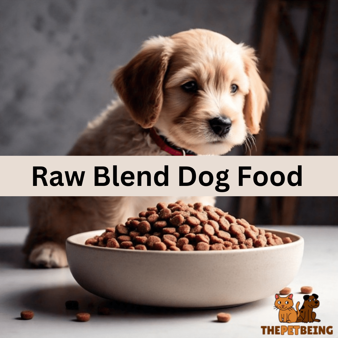 Raw Blend Dog Food