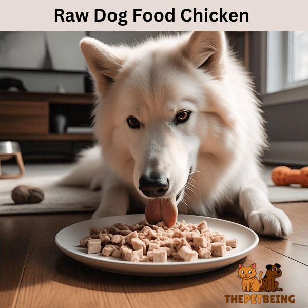 Raw Dog Food Chicken