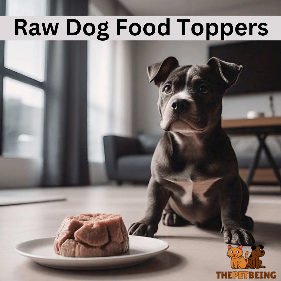 Raw Dog Food Toppers