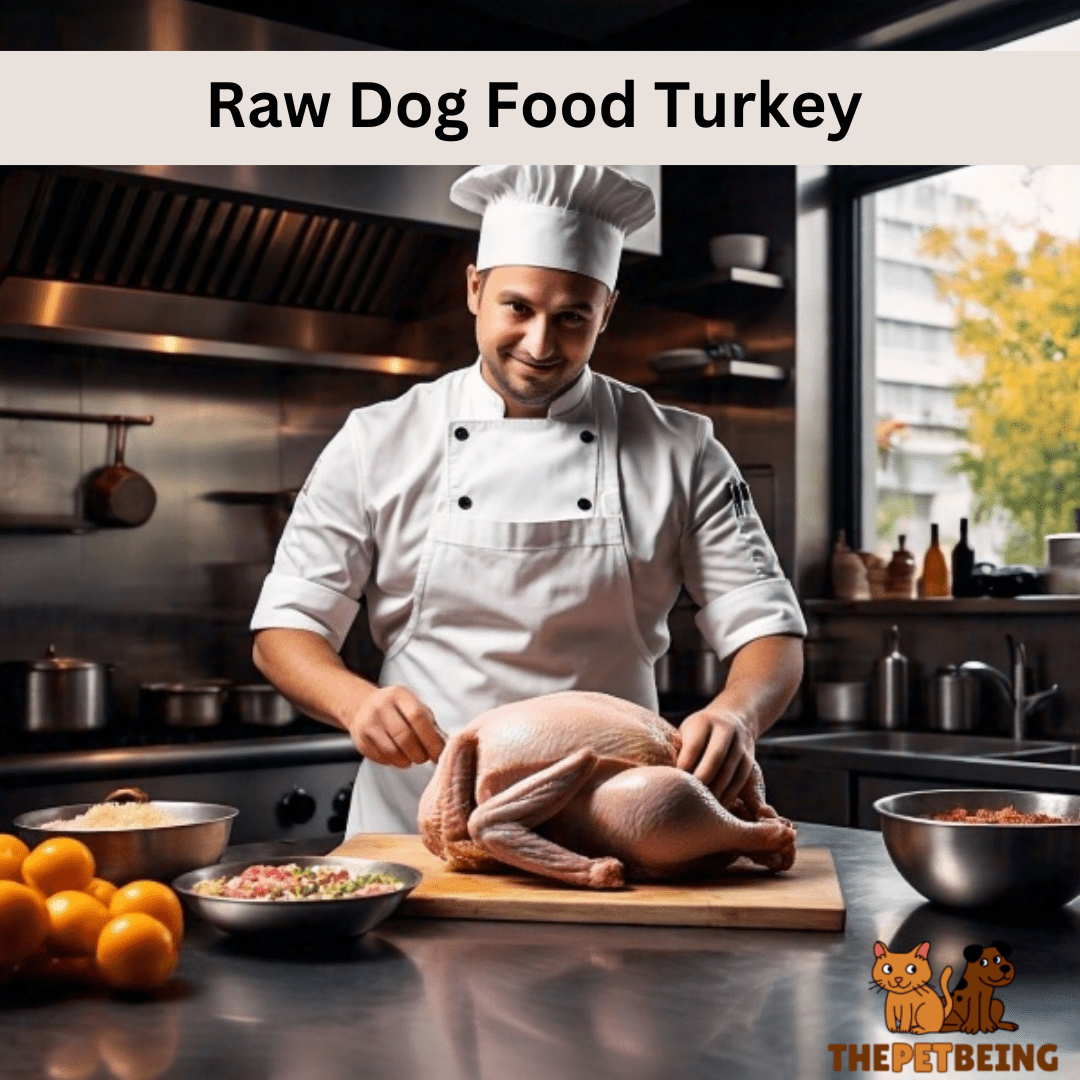 Raw Dog Food Turkey