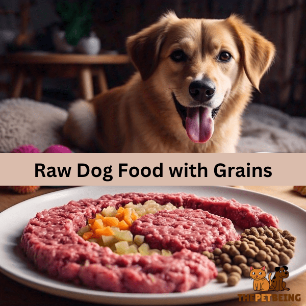 Raw Dog Food with Grains