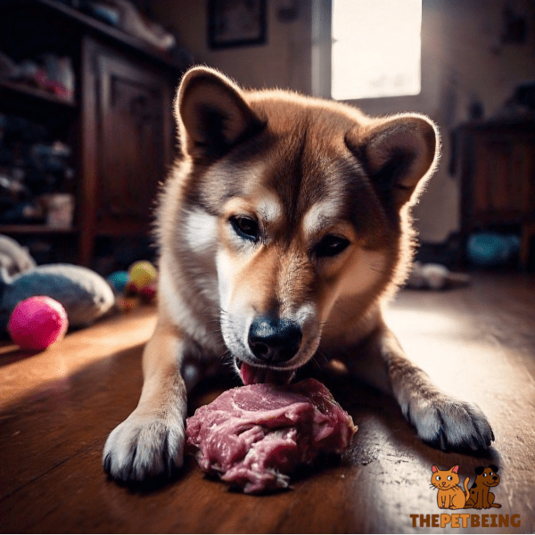 Raw Pork is Good for Dogs