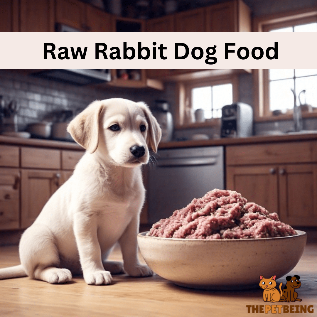 Raw Rabbit Dog Food