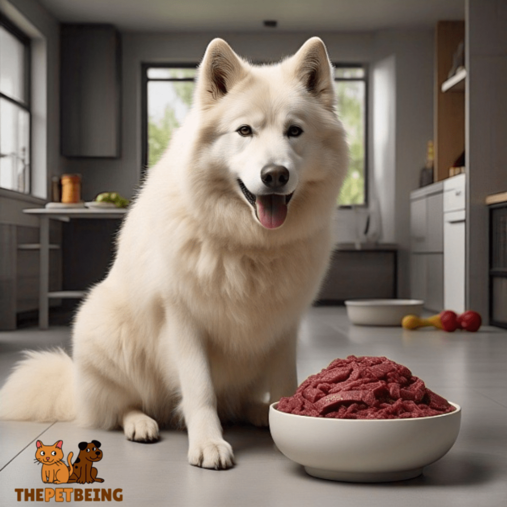 Raw Venison Dog Food is Beneficial for Your Dog