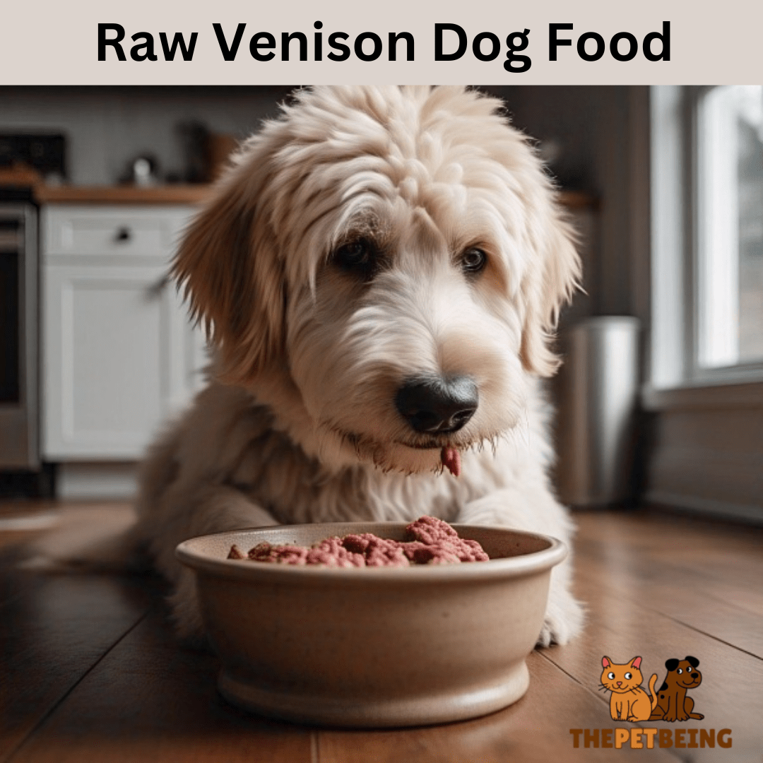 Raw Venison Dog Food