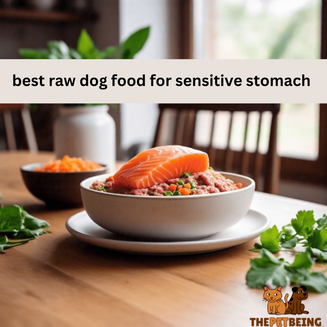 Raw food for sensitive dogs