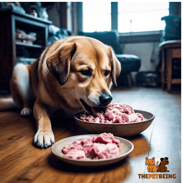 Risks of Feeding Raw Pork to Dogs