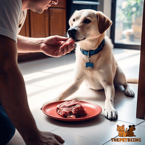 Safely Feed Raw Pork to Your Dog