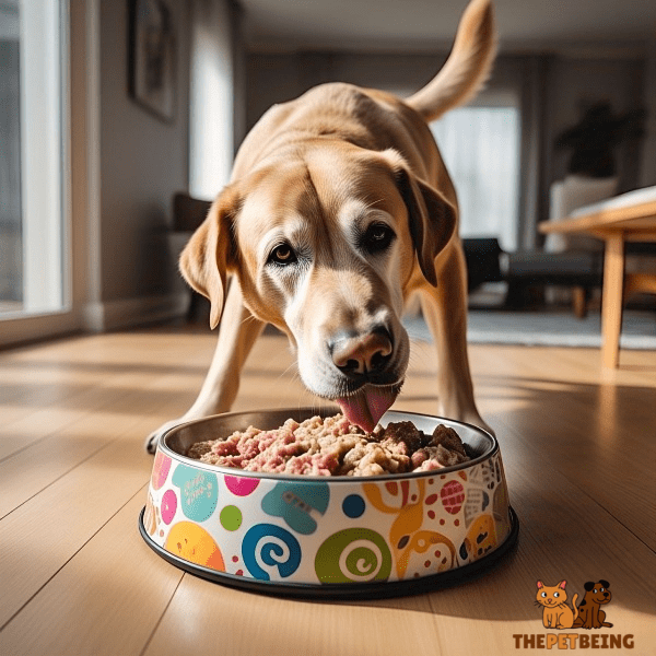 Ways to Feed Raw Food to Your Large Dog