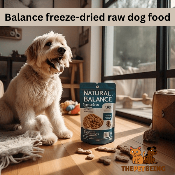 Natural Balance freeze-dried raw dog food