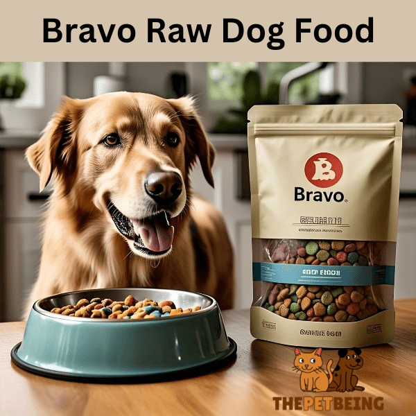 Bravo Raw Dog Food