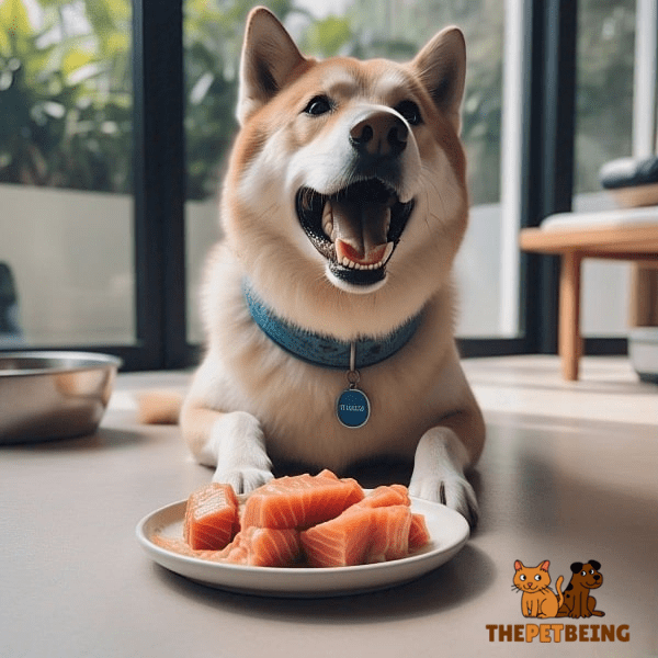 Keep Your Dog Safe When Eating Raw Salmon