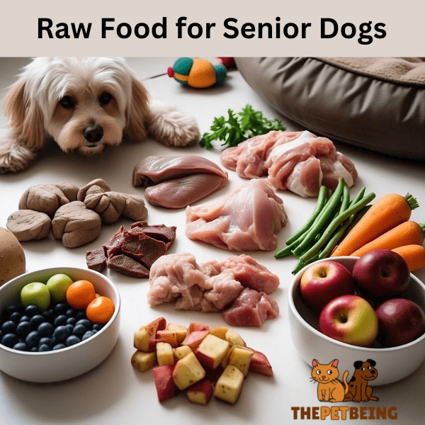 Raw Food for Senior Dogs