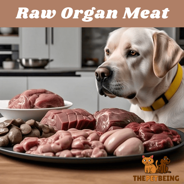 Raw Organ Meat