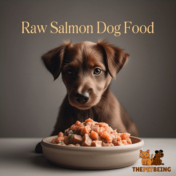 Raw Salmon Dog Food