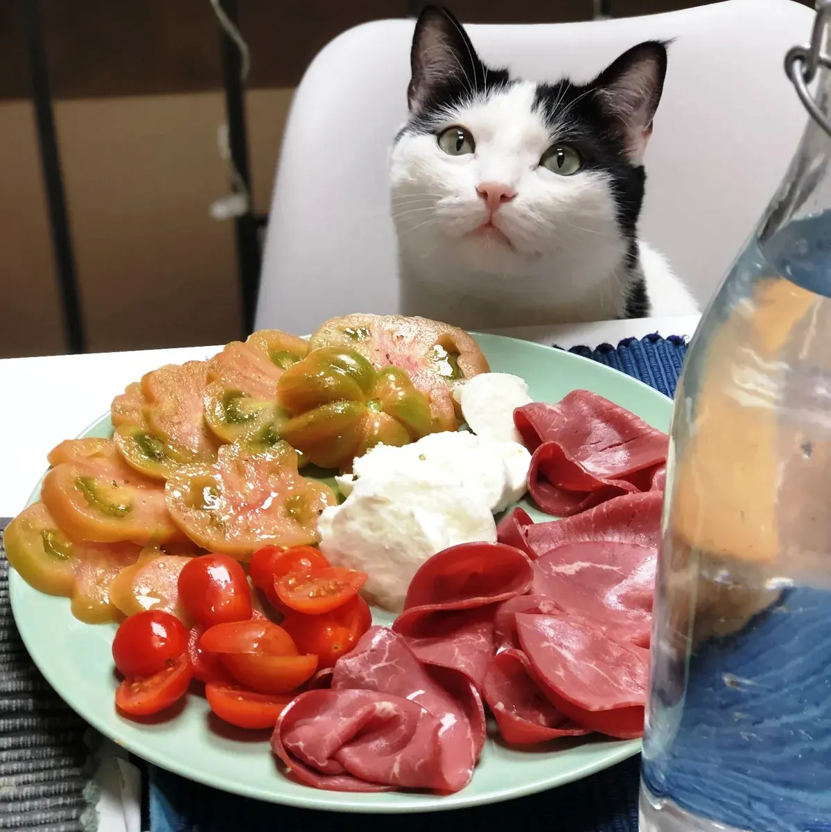 Can Cats Safely Eat Prosciutto