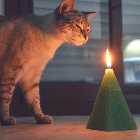 Cat's Vision of Fire