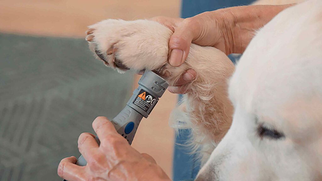 Use a Dremel to Trim Dog Nails