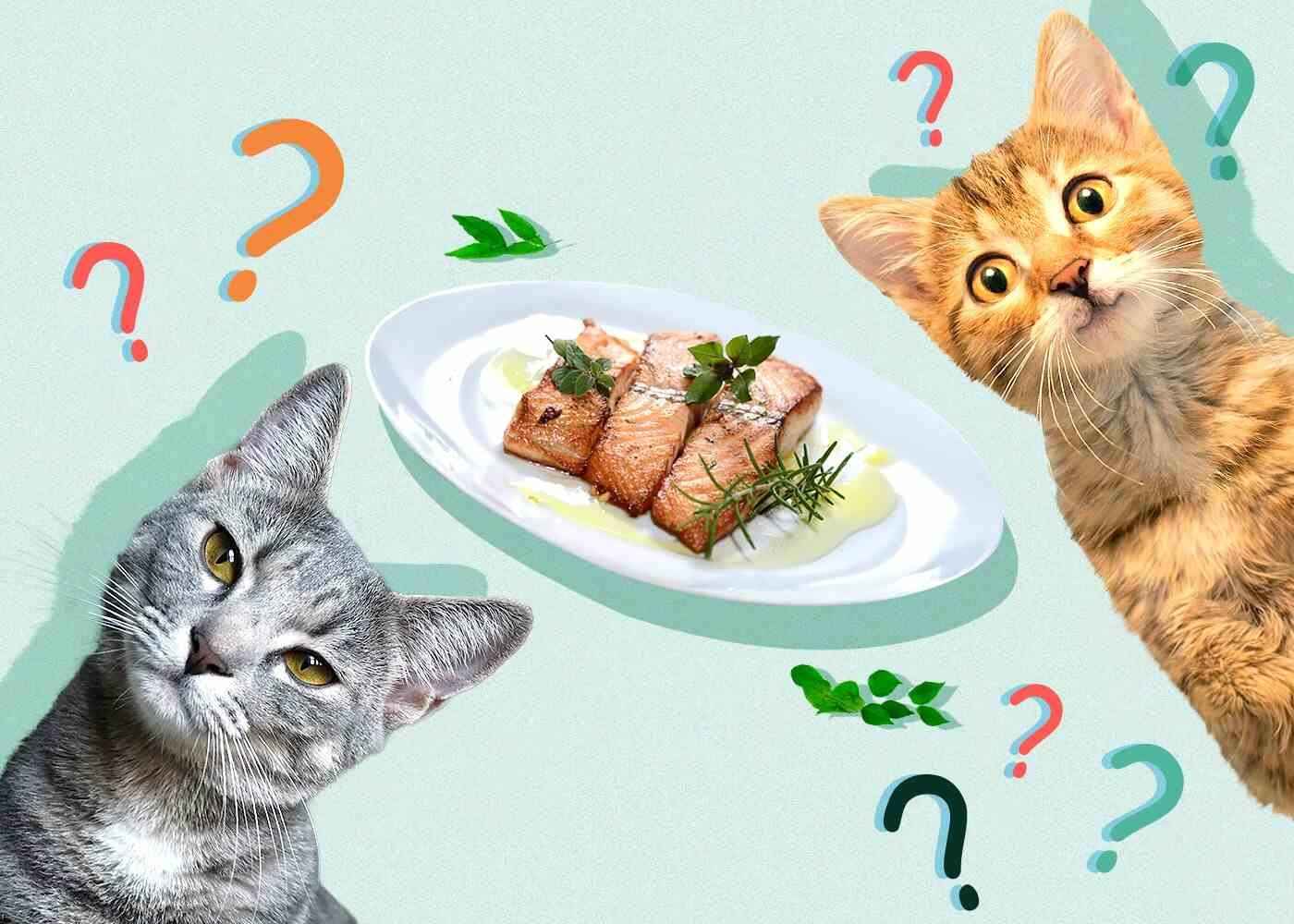 Can You Safely Feed Cats Salmon Skin