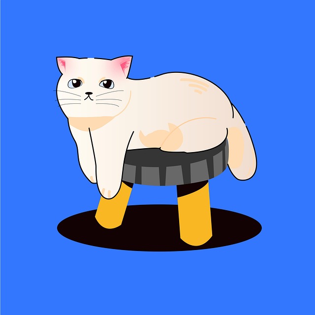 Norwegian Forest Cats