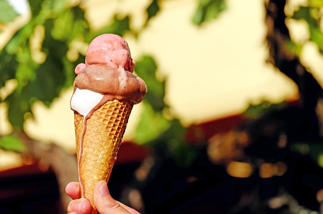 Ice Cream for Dogs